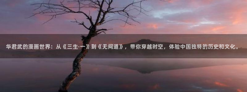 元尊奇漫屋漫画：华君武的漫画世界：从《三生·一》到《无间道》，带你穿越时空，体验中国独特的历史和文化。