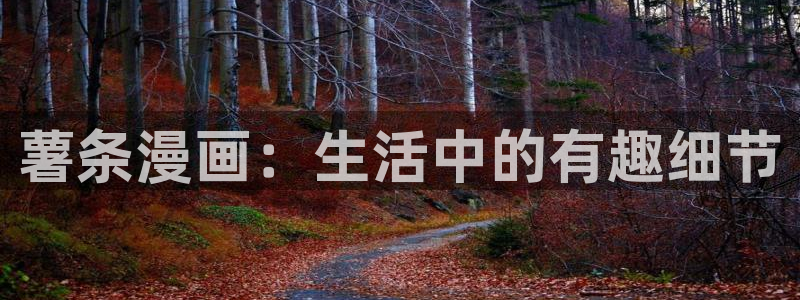 奇漫屋漫画免费漫画：薯条漫画：生活中的有趣细节