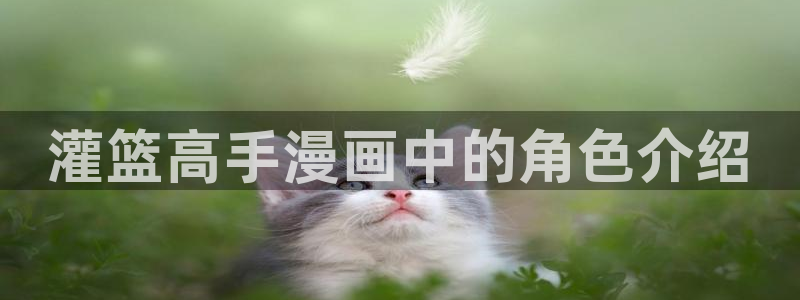 间谍过家家漫画下拉式奇漫屋：灌篮高手漫画中的角色介绍
